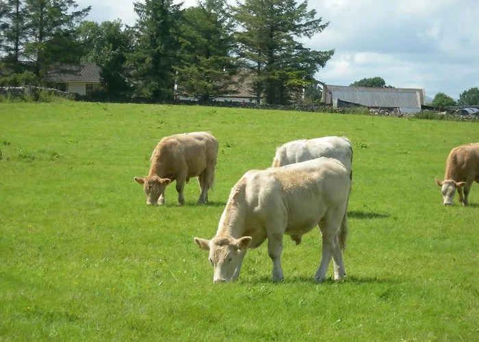 Ashfield House Bed & Breakfast